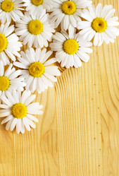 Similar image 8207338