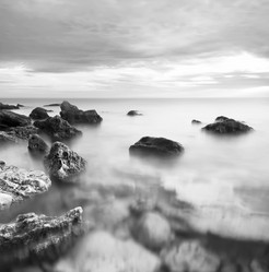 Similar image 8207341