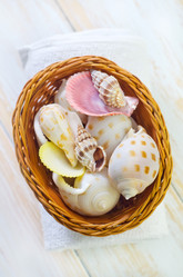 Similar image 8207439