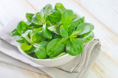 Similar image 8207505