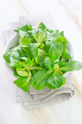 Similar image 8207515