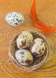 Similar image 8207574