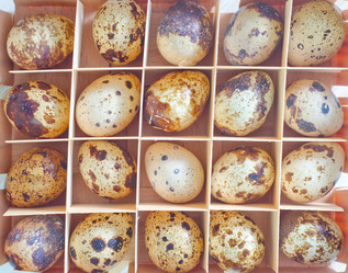 Similar image 8207663