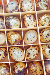 Similar image 8207664