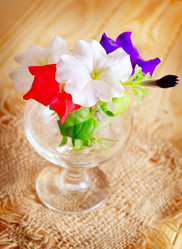 Similar image 8207672