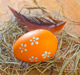 Similar image 8207793