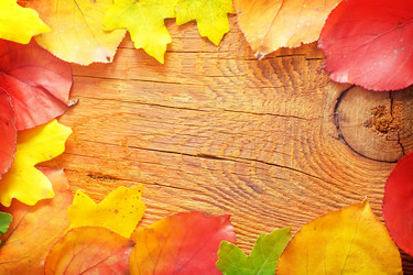 Similar image 8207799