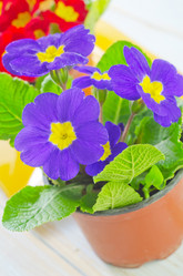 Similar image 8207808