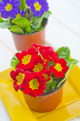 Similar image 8207821