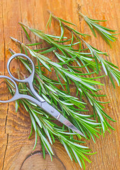 Similar image 8207886