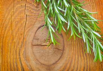 Similar image 8207890