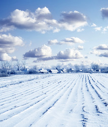 Similar image 8207980