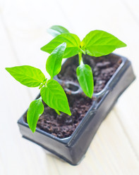 Similar image 8208233