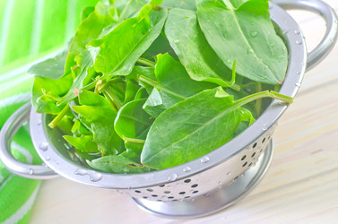 Similar image 8208340