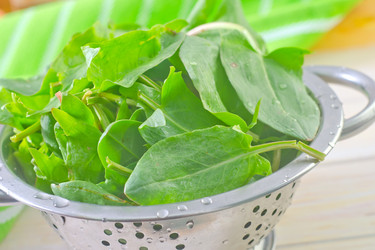 Similar image 8208350