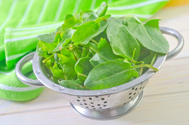 Similar image 8208358