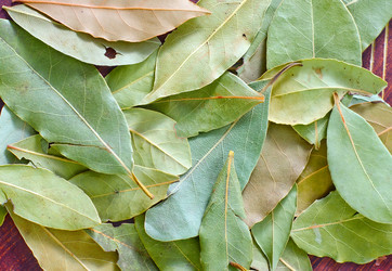 Similar image 8208383