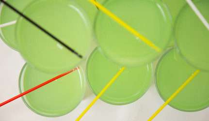 Similar image 8208621