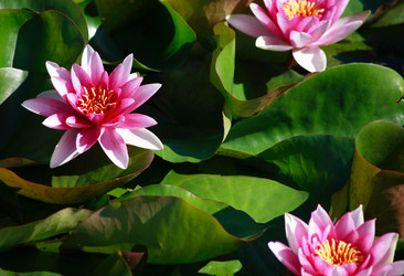 Similar image 8212003