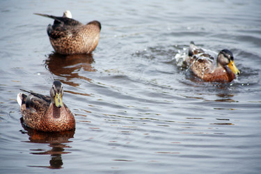 Similar image 8212004