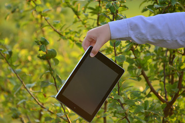 Similar image 8212074