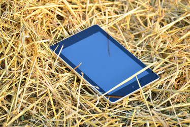 Similar image 8212078