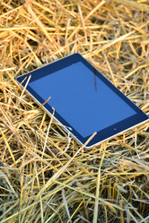 Similar image 8212079