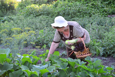 Similar image 8212081