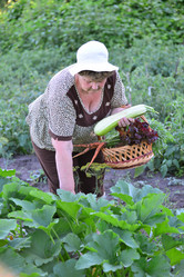 Similar image 8212088