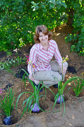 Similar image 8212091