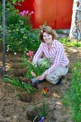 Similar image 8212106