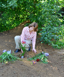 Similar image 8212132