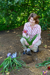 Similar image 8212133