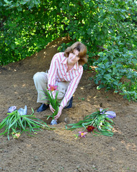 Similar image 8212140