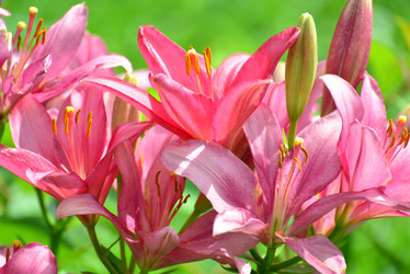 Similar image 8212174