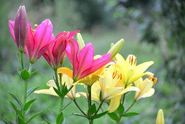 Similar image 8212180