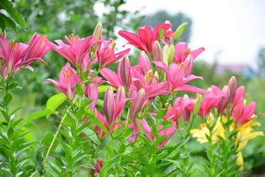 Similar image 8212181