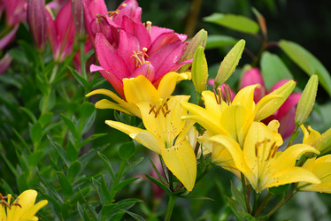 Similar image 8212182