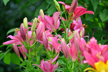 Similar image 8212183