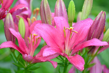 Similar image 8212187