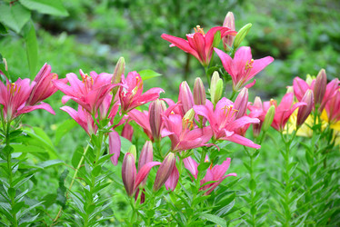 Similar image 8212189