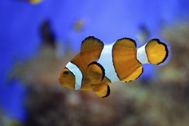 Similar image 8212259