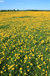 Similar image 8212378