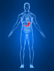 Similar image 8212393