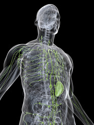 Similar image 8212397