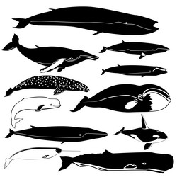 Similar image 8212477