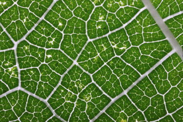 Similar image 8212491