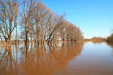 Similar image 8212566