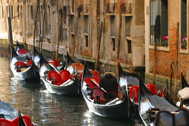 Similar image 8212594