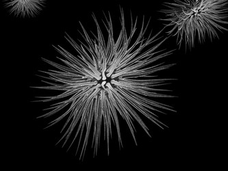 Similar image 8212602